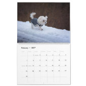 2025 Maltipoo Maltese Puppy Kalender (Feb 2027)