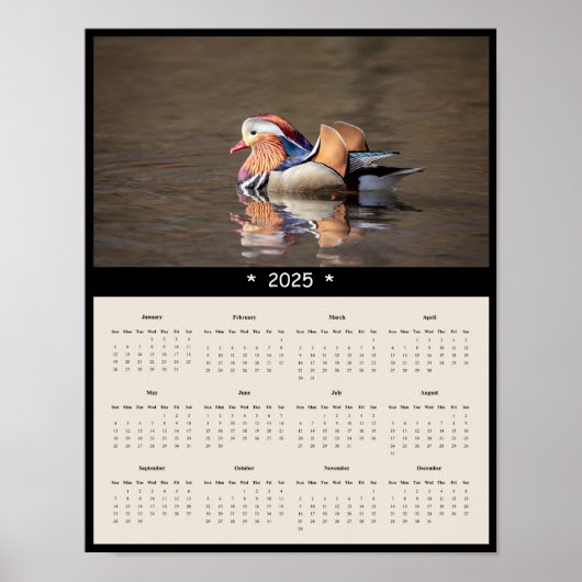 2025 Mandarin Duck Wall Calendar Poster (Vorne)