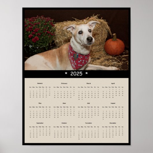 2025 Mixed Rasse Hund Wall Calendar Poster (Vorne)