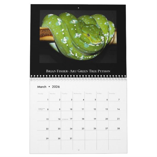 2025 Morelia Python Radio Calendar Kalender (Mär 2026)