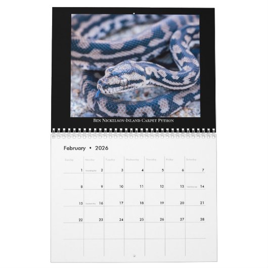 2025 Morelia Python Radio Calendar Kalender (Feb 2026)