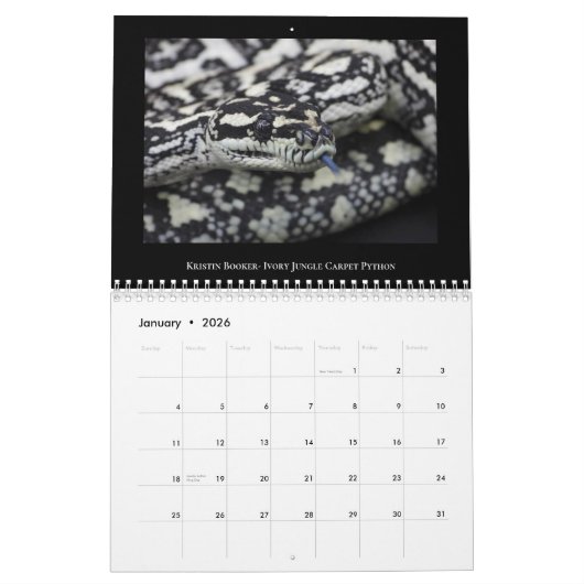 2025 Morelia Python Radio Calendar Kalender (Jan 2026)