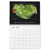 2025 Morelia Python Radio Calendar Kalender (Mär 2027)