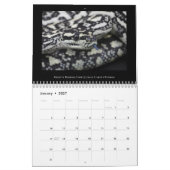 2025 Morelia Python Radio Calendar Kalender (Jan 2027)