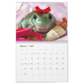 2025 Mother of Frogs Rescue Calendar Kalender (Feb 2027)