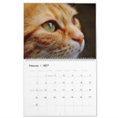 2025 Orange Tabby Cats and Kittens Calendar Niedli Kalender (Feb 2027)