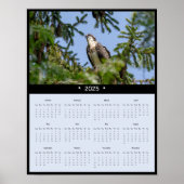 2025 Osprey Wall Calendar Poster (Vorne)