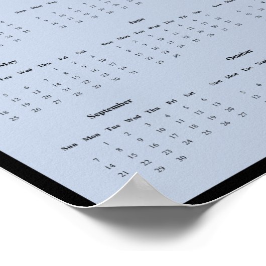 2025 Osprey Wall Calendar Poster (Ecke)