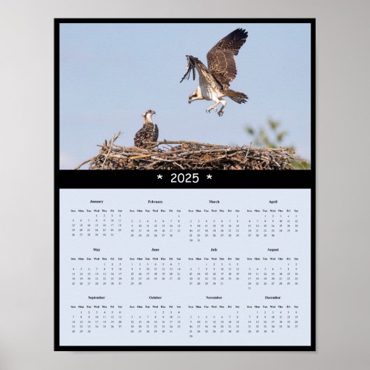 2025 Osprey Wall Calendar Poster (Vorne)