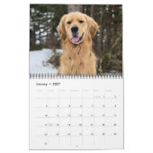 2025 ParkerPup Kalender ...mit Gill & Walter (Jan 2027)
