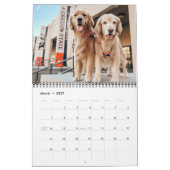 2025 ParkerPup Kalender ...mit Gill & Walter (Mär 2027)