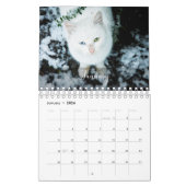 2025 Pet Custom Foto Chic Calligraphy Calendar Kalender (Jan 2026)