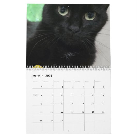 2025 Petals and Feather and Friends Calendar Kalender (Mär 2026)