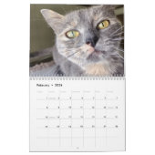 2025 Petals and Feather and Friends Calendar Kalender (Feb 2026)