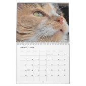 2025 Petals and Feather and Friends Calendar Kalender (Jan 2026)