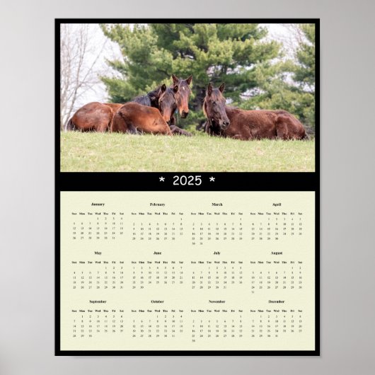 2025 Pferdewall-Kalender-Poster Poster (Vorne)