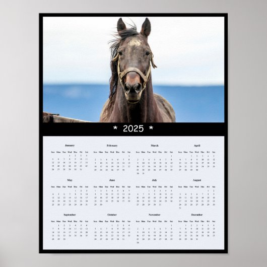 2025 Pferdewall-Kalender-Poster Poster (Vorne)