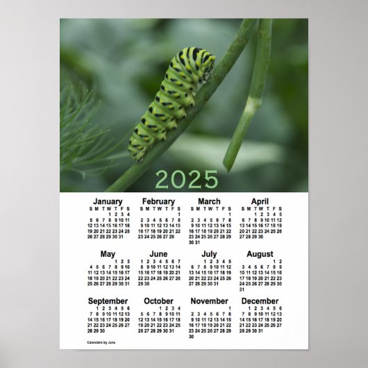 2025 Raupe Schlucken Schwanz von Janz Poster (Vorne)