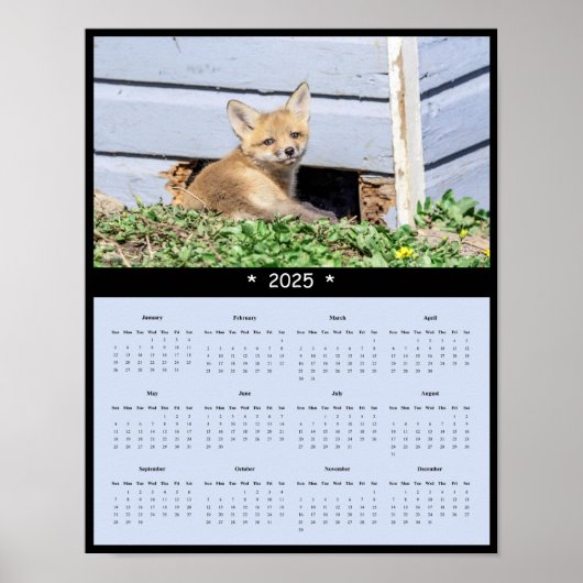 2025 Red Fox Kit Wall Calendar Poster (Vorne)