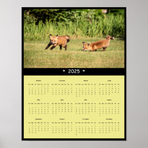 2025 Red Fox Kits Wall Calendar Poster