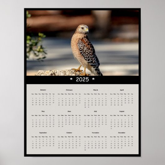 2025 Red Shoulded Hawk Wall Calendar Poster (Vorne)
