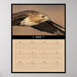 2025 Red Tail Hawk Wall Calendar Poster