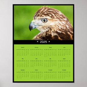 2025 Red-Tail Hawk Wall Calendar Poster