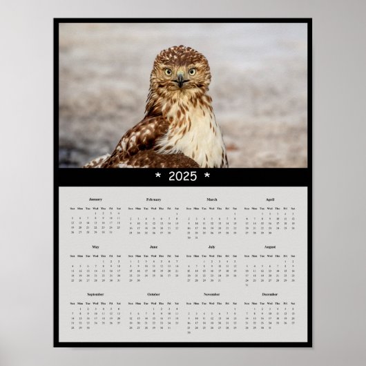 2025 Red-Tail Hawk Wall Calendar Poster (Vorne)