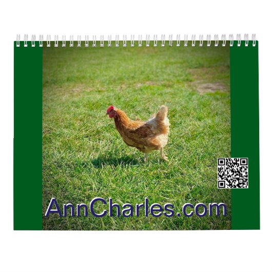 2025 Reise mit Ann Charles Mauer Kalender (Rückseite)