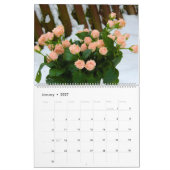 2025 Rose  Mauer Blume Kalender (Jan 2027)