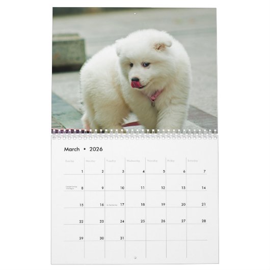 2025 Samoyed Hund Kalender (Mär 2026)