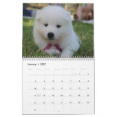 2025 Samoyed Hund Kalender (Jan 2027)