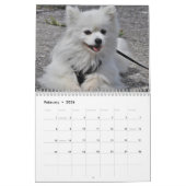 2025 Samoyed Hund Kalender (Feb 2026)