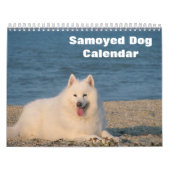 2025 Samoyed Hund Kalender (Titelbild)