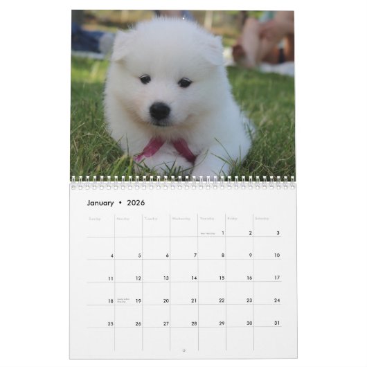 2025 Samoyed Hund Kalender (Jan 2026)