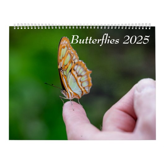 2025 Schmetterlinge Kalender (Titelbild)