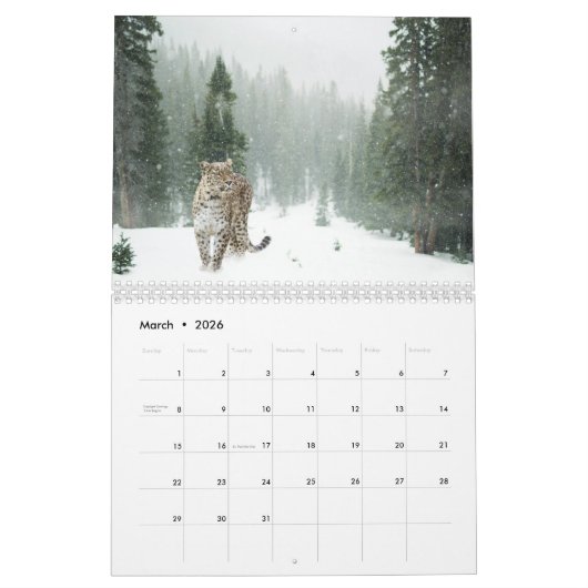 2025 Schneeleopard Kalender (Mär 2026)