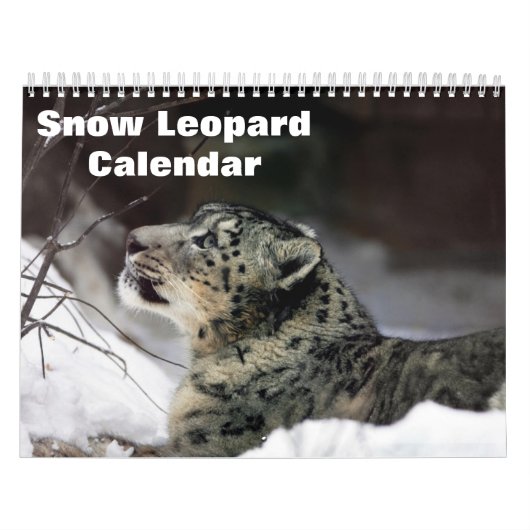2025 Schneeleopard Kalender (Titelbild)