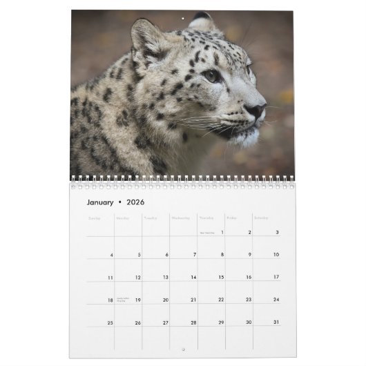 2025 Schneeleopard Kalender (Jan 2026)