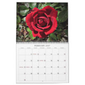 2025 Schöne Blume Mauer Kalender Mittelgröße (Feb 2027)