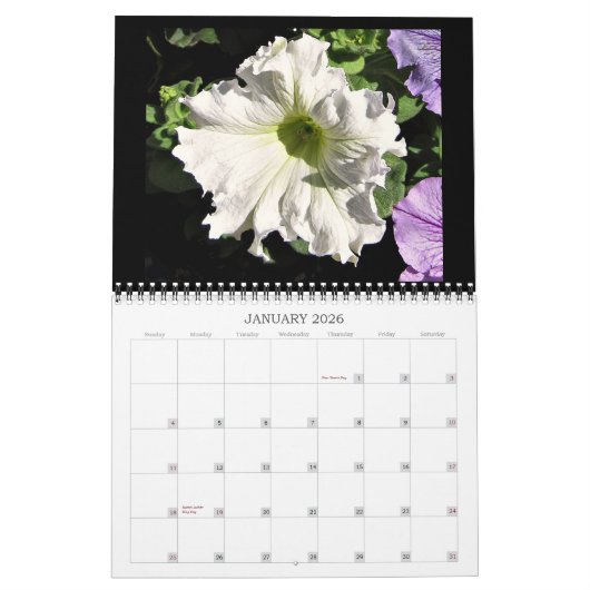 2025 Schöne Blume Mauer Kalender Mittelgröße (Jan 2026)
