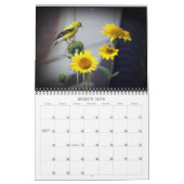 2025 Schöne Naturwall Kalender Mittelgröße (Mär 2026)