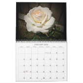 2025 Schöne Naturwall Kalender Mittelgröße (Jan 2026)