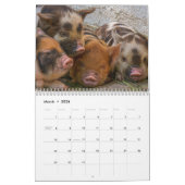 2025 Schweinefleischkalender Kalender (Mär 2026)