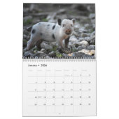 2025 Schweinefleischkalender Kalender (Jan 2026)