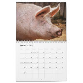 2025 Schweinefleischkalender Kalender (Feb 2027)