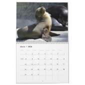 2025 Sea Lion Siegels Calendar Kalender (Mär 2026)