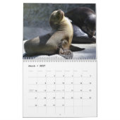 2025 Sea Lion Siegels Calendar Kalender (Mär 2027)