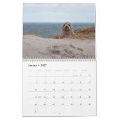 2025 Sea Lion Siegels Calendar Kalender (Jan 2027)