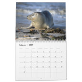 2025 Sea Lion Siegels Calendar Kalender (Feb 2027)